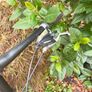trek bicycle Image 3