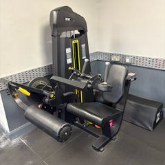 Seated Leg Curl/Extension Machine