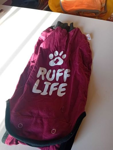 Dog surgery recovery suit Bellyguard rrp 30