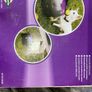 PetSafe Automatic Ball Launcher; NEW; Opened Box Image 4
