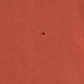 Long orange top Image 3