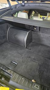 Focal 10" Passive Subwoofer