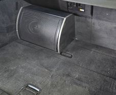Focal 10" Passive Subwoofer