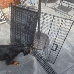 Dog crate Medium