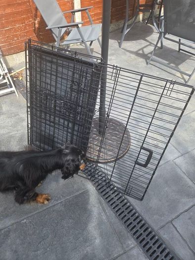 Dog crate Medium