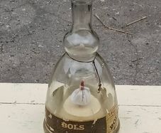 Bols Ballerina