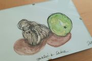 Original art (garlic+lime)