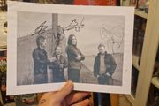 Shinedown Autograph