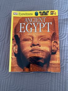 DK Eyewitness (6 books)