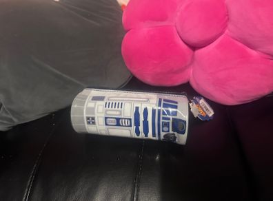Tagged Star Wars pencil case