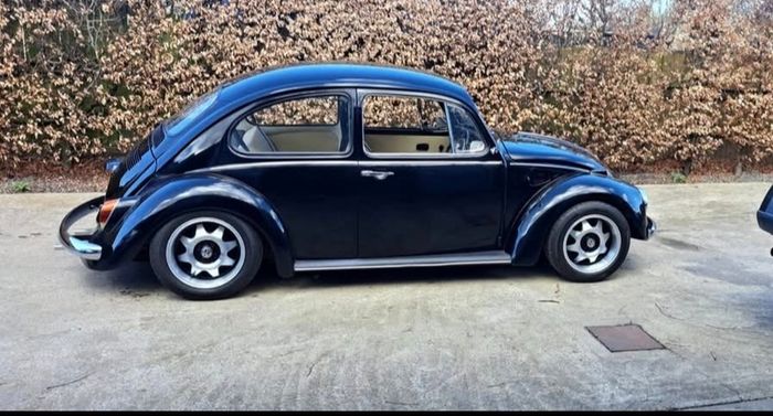 vw beetle