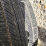 Yokohama Geolanders 215/55 R17inch Image 3