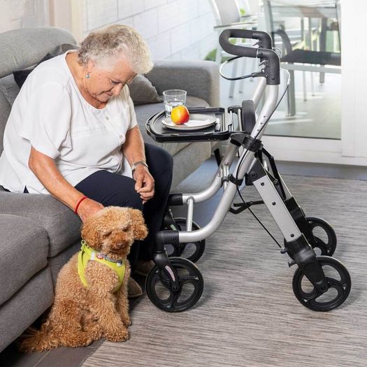 Lett Walk  Rollator/Walking Trolley