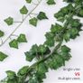 NEW SALE | Artificial Ivy, Vines, Ivy Garlands Artificial (42ft - Pack of 6) Image 3