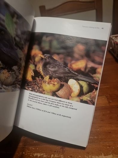 A Field Guide to Bird Photography - Softcover