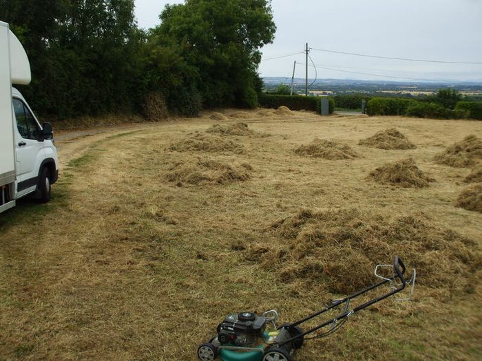Free Animal Bedding /Feed