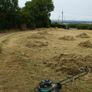 Free Animal Bedding /Feed Image 2