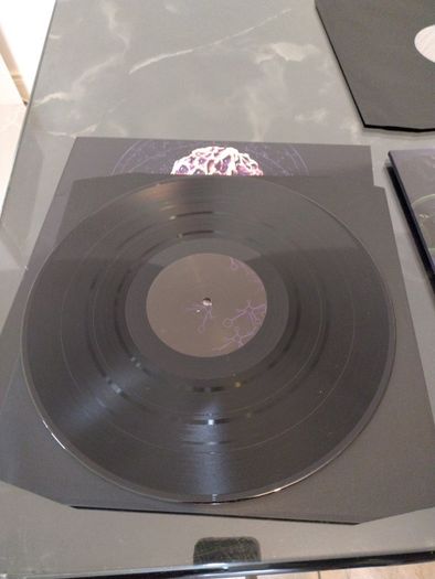 vinyl Blut Aus Nord Hallucinogen