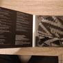 Mary Anne Hobbs (Wild Angles) Image 4