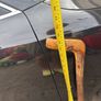 walking stick Image 3