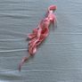 Ribbon/flat silk/ fluorescent/ locking running shoe laces Image 8