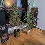 Technics stereo reference Image 7