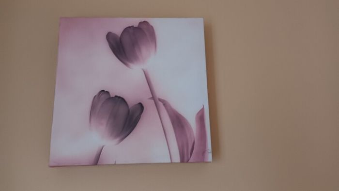 Canvas x 3