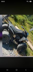 Quad Godzilla