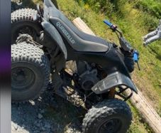 Quad Godzilla