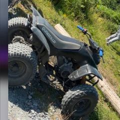 Quad Godzilla