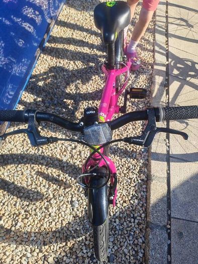 Frog bike 48
