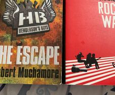 Robert Muchamore books price is for both books