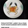 Very Large Hand Painted Poole Pottery plate Image 3