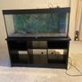 Large Fish tank Image 2