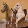 Horse White Our Generation, Image 4