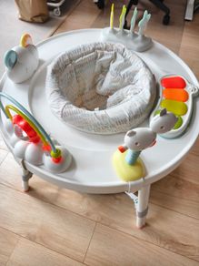 Skip Hop Activity Center