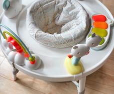 Skip Hop Activity Center