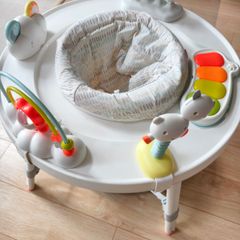 Skip Hop Activity Center