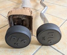 10kg Straight Barbell and 10kg EZ Curl Bar