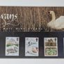 2 x Great Britain Presentation Packs - Mint Stamps Image 3
