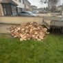 Ash firewood Image 3