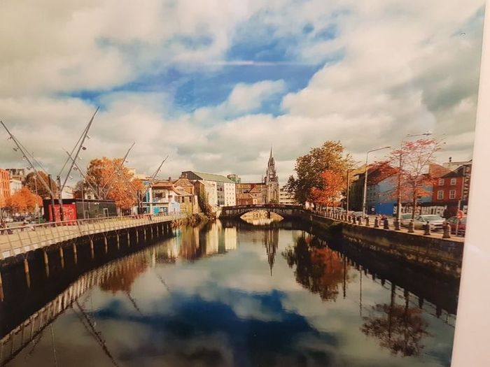 Cork