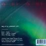 Pearl Jam vinyl single Image 2