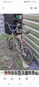 Raleigh Burner