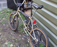 Raleigh Burner