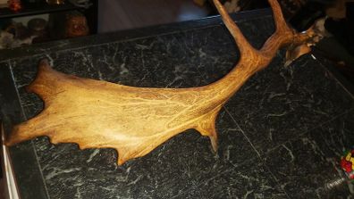 Antique antler