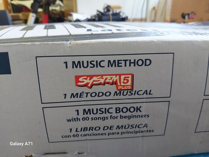 Bontempi System 5 Plus, 61 Professional key keyboard, Model No PM-746, with charger, headphones, songbooks,music sheet stand, new, never used