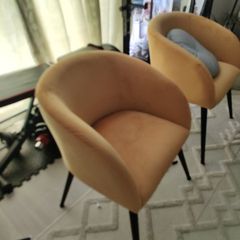 Ez living Dining chair velvet