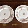 A Pair of Royal Albert Moss Rose 9.5 inch China plates Image 3