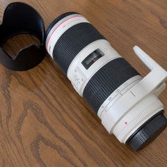 Canon Ef 70-200mm F/2.8l Is Ii Usm